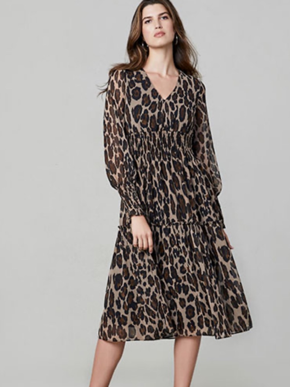 Taylor Leopard Print Smocked Chiffon Long Sleeve A-Line Dress Women’s Size 2